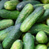 Cucumber Marketmore Seeds